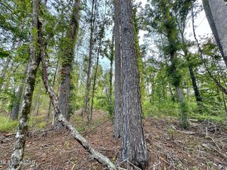 1 Prentiss Crump Road, Terry, MS 39170
