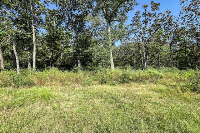 10 Acres Lot 81 Woodland Hills Ranch, Centerville, TX 75833
