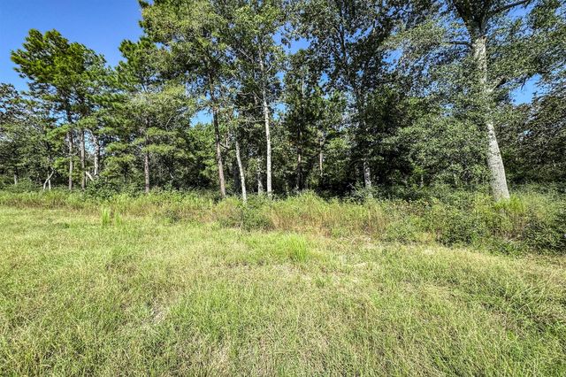 10 Acres Lot 81 Woodland Hills Ranch, Centerville, TX 75833