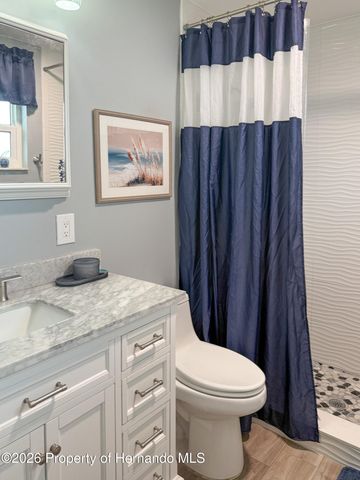 11019 Captain Drive, Spring Hill, FL 34608