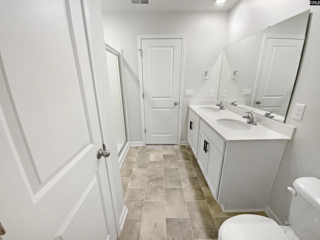 414 Pine Log Run, Chapin, SC 29036