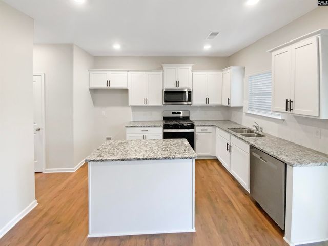 414 Pine Log Run, Chapin, SC 29036