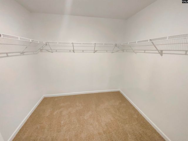 414 Pine Log Run, Chapin, SC 29036