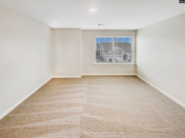 414 Pine Log Run, Chapin, SC 29036