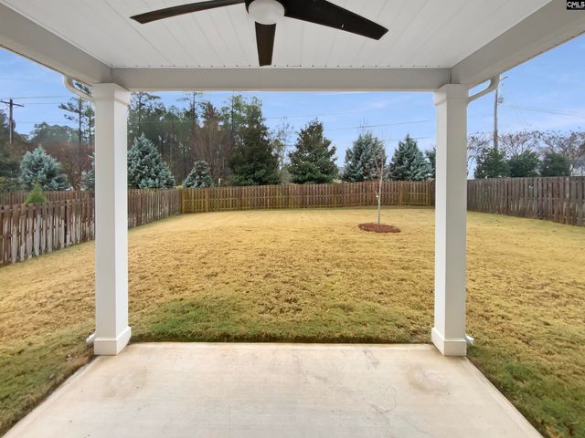 414 Pine Log Run, Chapin, SC 29036