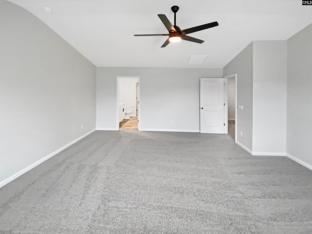 414 Pine Log Run, Chapin, SC 29036