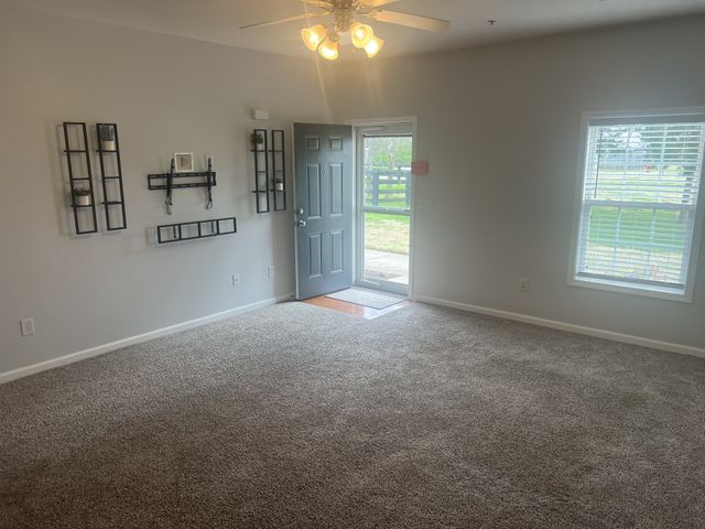 1019 Briggs Ln, Spring Hill, TN 37174