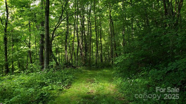 165#2 Wagon Wheel Way, Canton, NC 28716
