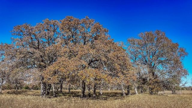 TBD Hwy 71 By- Feeder Road, La Grange, TX 78945