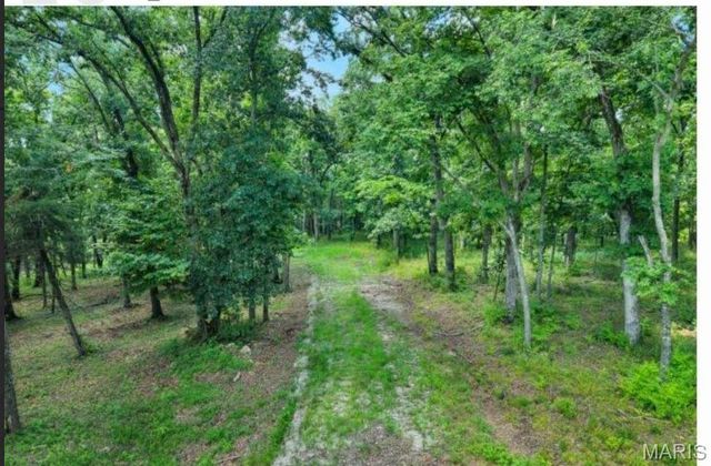 2323 HWY F hwy F 80 ac, Unincorporated, MO 63341