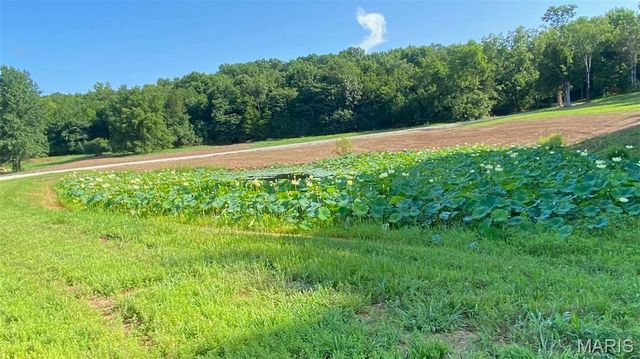 2323 HWY F hwy F 80 ac, Unincorporated, MO 63341