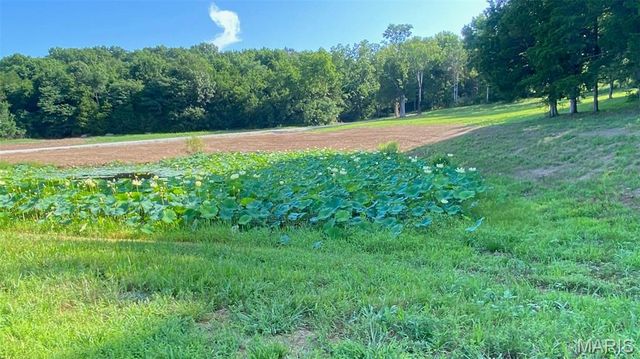 2323 HWY F hwy F 80 ac, Unincorporated, MO 63341