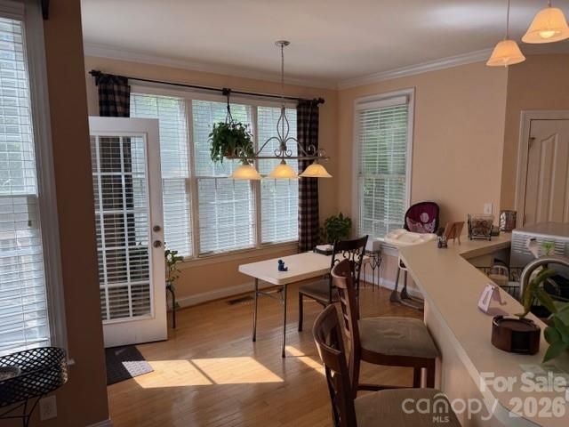 11025 Fountaingrove Drive, Charlotte, NC 28262