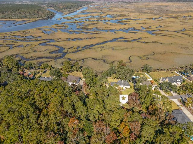 316 Oak Grove Island Drive, Brunswick, GA 31523