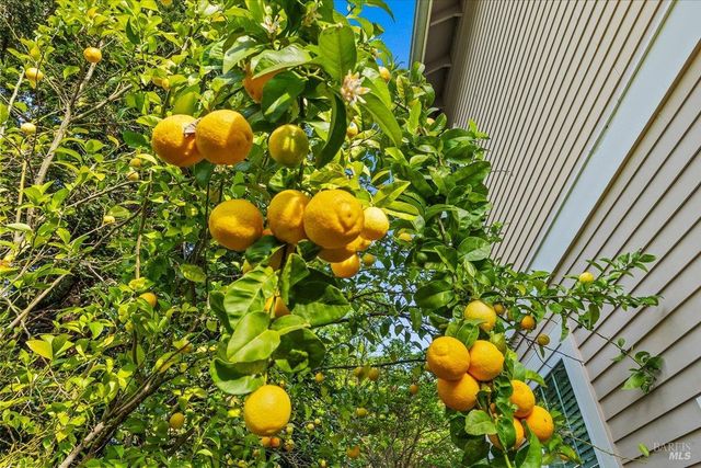 134 Moonlight Dr, Healdsburg, CA 95448