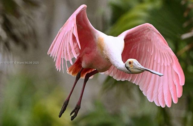 12078 Storke Ave, Port Charlotte, FL 33981