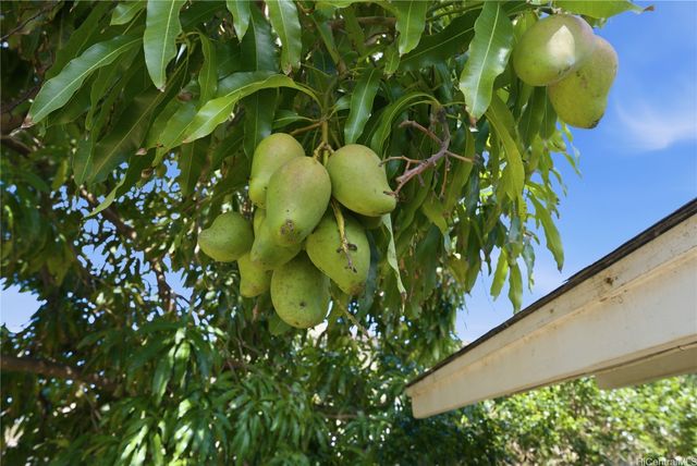 87-146 Lualei Place, Waianae, HI 96792