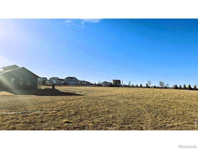 1508 Flowering Tree Court, Windsor, CO 80550