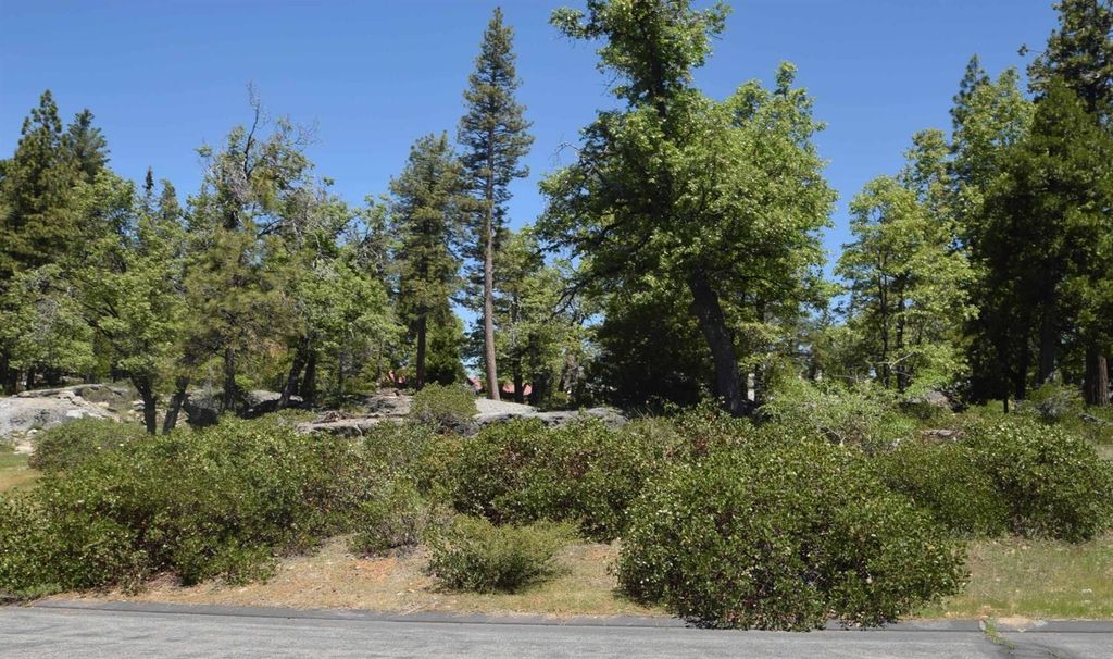 Image 1 of property listing at 43006 Garnet Lane lot36, Shaver Lake, CA 93664