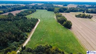 TBD Tobacco Land Rd, Latta, SC 29536