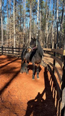 6600 Cascade-Palmetto Highway, Fairburn, GA 30213