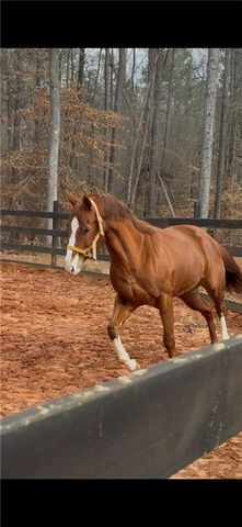 6600 Cascade-Palmetto Highway, Fairburn, GA 30213