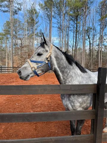 6600 Cascade-Palmetto Highway, Fairburn, GA 30213