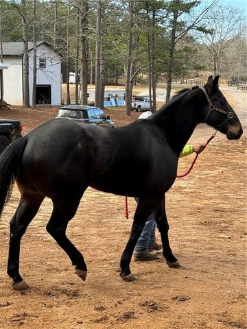 6600 Cascade-Palmetto Highway, Fairburn, GA 30213