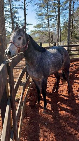 6600 Cascade-Palmetto Highway, Fairburn, GA 30213