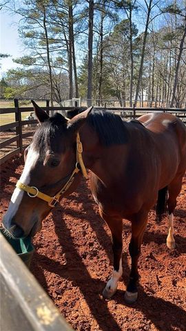 6600 Cascade-Palmetto Highway, Fairburn, GA 30213