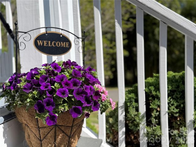 26 Macdougall Lane, Weaverville, NC 28787