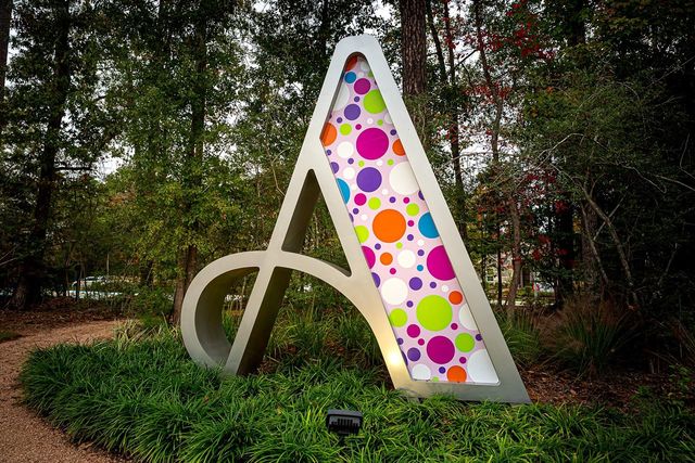 17459 Vino Vines Lane, Conroe, TX 77302