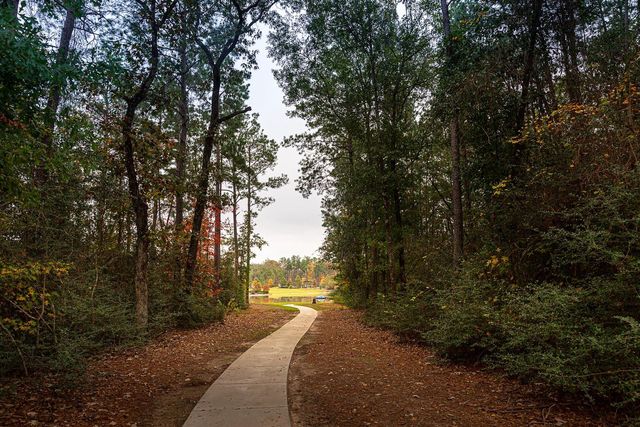 17459 Vino Vines Lane, Conroe, TX 77302