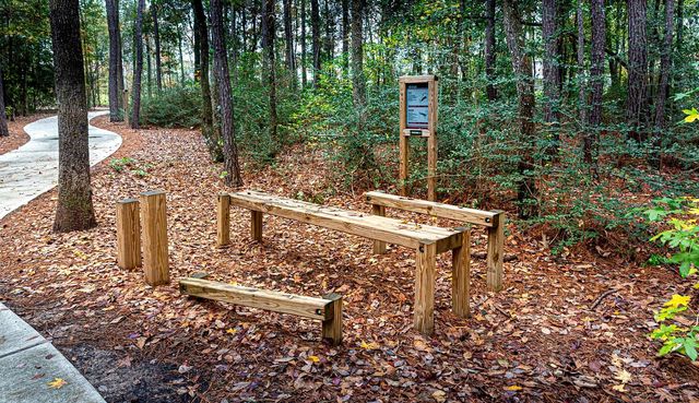 17459 Vino Vines Lane, Conroe, TX 77302