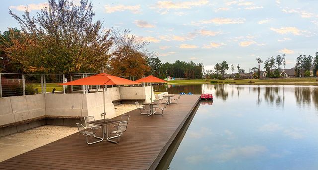 17459 Vino Vines Lane, Conroe, TX 77302