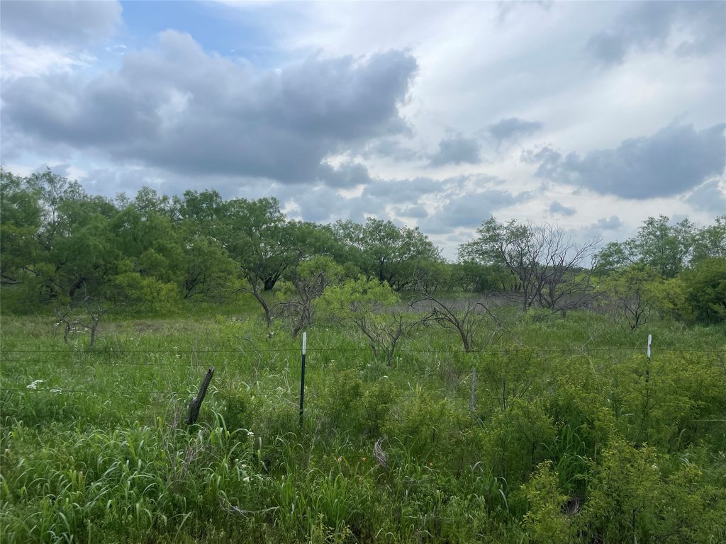 TBD Whitaker Rd, Bluegrove, TX 76365