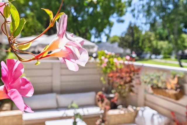 7483 Stonedale Dr, Pleasanton, CA 94588