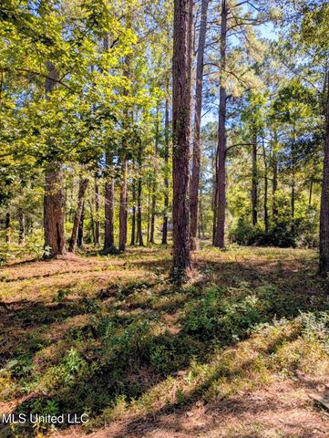 Norrell Drive, Petal, MS 39465