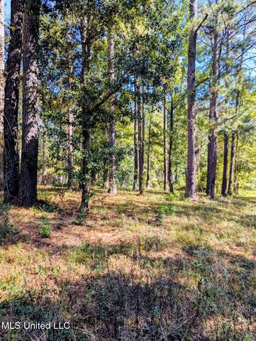 Norrell Drive, Petal, MS 39465