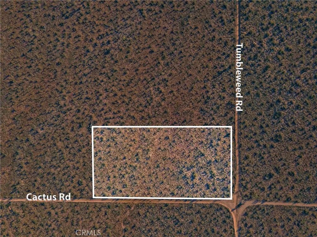 123 Tumbleweed, Adelanto, CA 92301