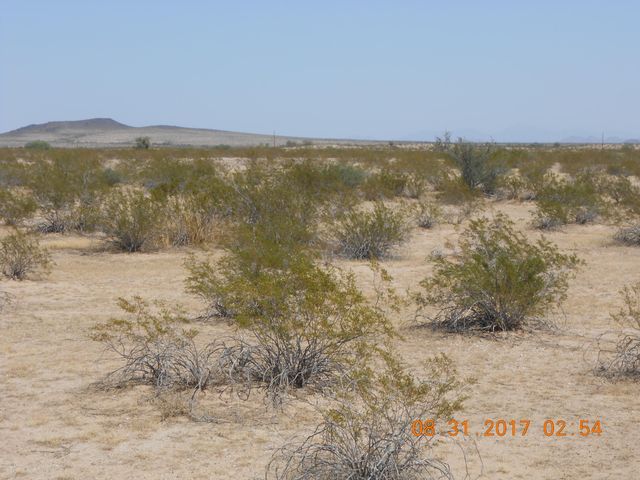 339XX W Carver Road -, Tonopah, AZ 85354