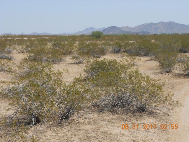 339XX W Carver Road -, Tonopah, AZ 85354