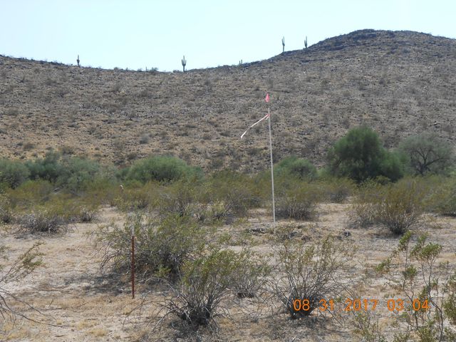 339XX W Carver Road -, Tonopah, AZ 85354