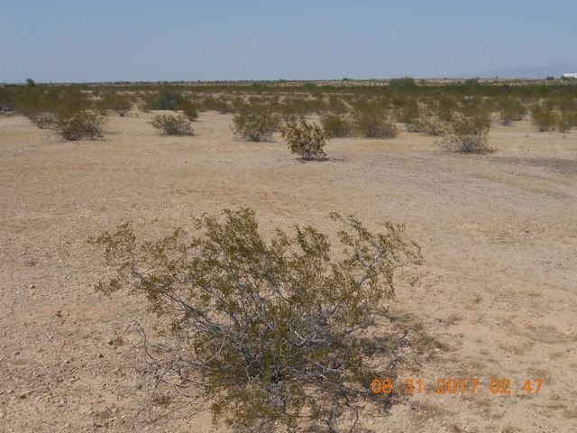 339XX W Carver Road -, Tonopah, AZ 85354