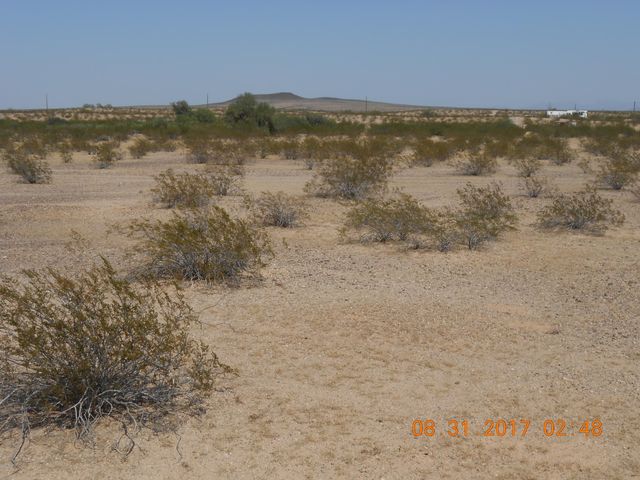 339XX W Carver Road -, Tonopah, AZ 85354
