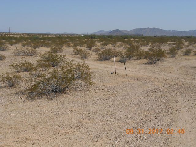 339XX W Carver Road -, Tonopah, AZ 85354