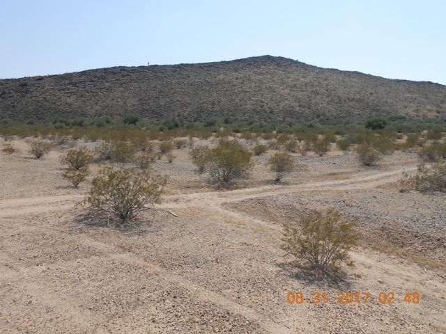 339XX W Carver Road -, Tonopah, AZ 85354
