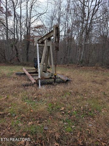 Junior Cox Rd, Deer Lodge, TN 37726