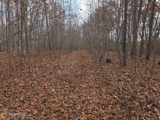 Junior Cox Rd, Deer Lodge, TN 37726