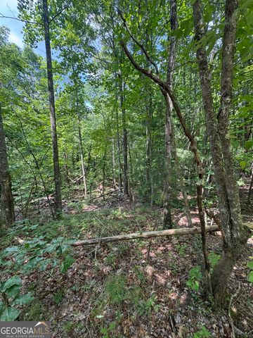 TR 3,4 Lakeland Drive, Ellijay, GA 30540